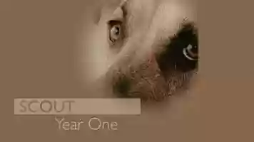 Free download Scout - Year One video and edit with RedcoolMedia movie maker MovieStudio video editor online and AudioStudio audio editor onlin