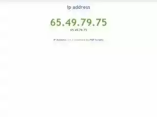 Download web tool or web app Scriptplazza IP Address Script