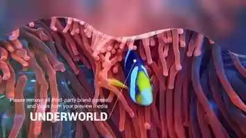 Free download Scuba Diving Promotion Slideshow | After Effects Project Files - Videohive template video and edit with RedcoolMedia movie maker MovieStudio video editor online and AudioStudio audio editor onlin