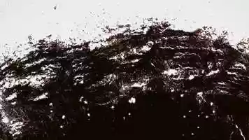 Free download Sea (2020) video and edit with RedcoolMedia movie maker MovieStudio video editor online and AudioStudio audio editor onlin