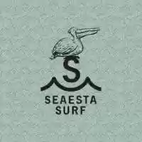 Free download Seaesta Surf Spring 2019 video and edit with RedcoolMedia movie maker MovieStudio video editor online and AudioStudio audio editor onlin