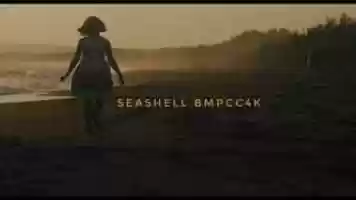 Free download Seashell- Blackmagic Pocket Cinema Camera 4K video and edit with RedcoolMedia movie maker MovieStudio video editor online and AudioStudio audio editor onlin