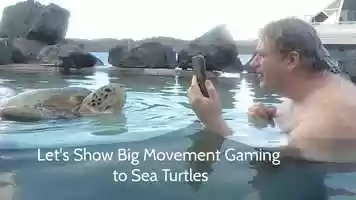 Free download Sea Turtles Love Big Movement Gaming video and edit with RedcoolMedia movie maker MovieStudio video editor online and AudioStudio audio editor onlin