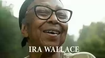 Free download Seed video and edit with RedcoolMedia movie maker MovieStudio video editor online and AudioStudio audio editor onlin