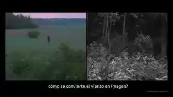 Free download Seed, Image, Ground (Spanish subtitles) video and edit with RedcoolMedia movie maker MovieStudio video editor online and AudioStudio audio editor onlin