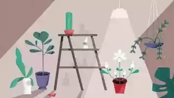 Free download Seed  Stem video and edit with RedcoolMedia movie maker MovieStudio video editor online and AudioStudio audio editor onlin