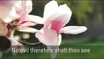 Free download See His salvation ever nigh video and edit with RedcoolMedia movie maker MovieStudio video editor online and AudioStudio audio editor onlin