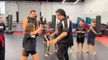 Free download Self Defense Technique with Master Fariborz .MOV video and edit with RedcoolMedia movie maker MovieStudio video editor online and AudioStudio audio editor onlin