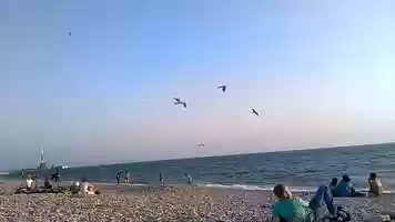 Free download Serie | Fausto Gracia | Breves Historias Contadas al Mar video and edit with RedcoolMedia movie maker MovieStudio video editor online and AudioStudio audio editor onlin