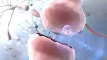 Free download Seroquel drug MOA, 2008 video and edit with RedcoolMedia movie maker MovieStudio video editor online and AudioStudio audio editor onlin