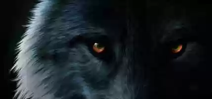 Free download Shadow of the Werewolf - Promo Video video and edit with RedcoolMedia movie maker MovieStudio video editor online and AudioStudio audio editor onlin