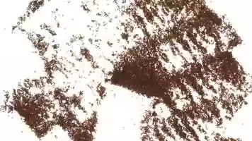 Free download Shapes (2020) video and edit with RedcoolMedia movie maker MovieStudio video editor online and AudioStudio audio editor onlin