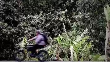 Free download Sheer Ammonite video and edit with RedcoolMedia movie maker MovieStudio video editor online and AudioStudio audio editor onlin