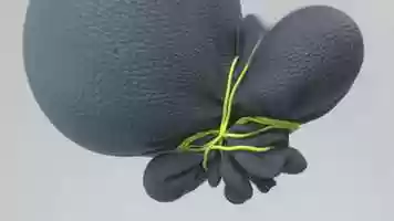 Free download Shibari (Vellum Cloth+Strings) video and edit with RedcoolMedia movie maker MovieStudio video editor online and AudioStudio audio editor onlin