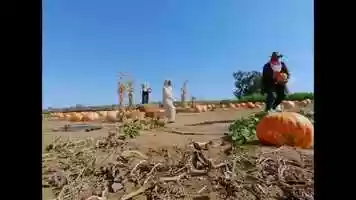 Free download Short Film Trailer: THE PUMPKIN PATCH video and edit with RedcoolMedia movie maker MovieStudio video editor online and AudioStudio audio editor onlin