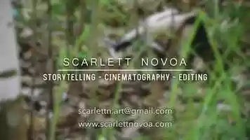 Free download Showreel - Scarlett Novoa video and edit with RedcoolMedia movie maker MovieStudio video editor online and AudioStudio audio editor onlin