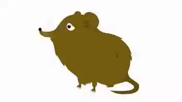 Free download Shrew Animation video and edit with RedcoolMedia movie maker MovieStudio video editor online and AudioStudio audio editor onlin