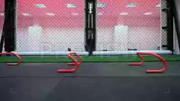 Free download Side Hop Hurdle Exercise Stock Video video and edit with RedcoolMedia movie maker MovieStudio video editor online and AudioStudio audio editor onlin