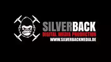 Free download Silverback Showreel 2019 video and edit with RedcoolMedia movie maker MovieStudio video editor online and AudioStudio audio editor onlin