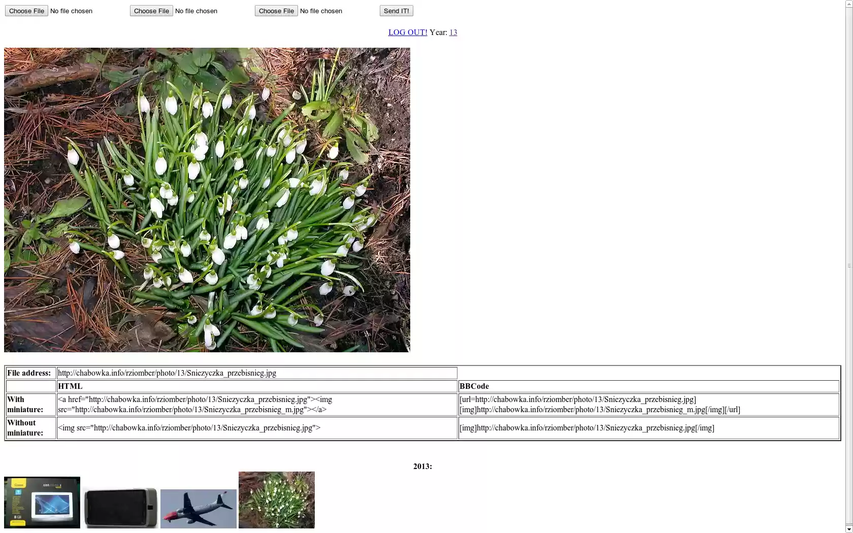 Download web tool or web app Simple Image Warehouse Download web tool or web app Simple Image Warehouse