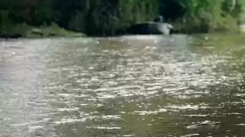 Free download SING ALONG THE RIVER 2017 FILM video and edit with RedcoolMedia movie maker MovieStudio video editor online and AudioStudio audio editor onlin