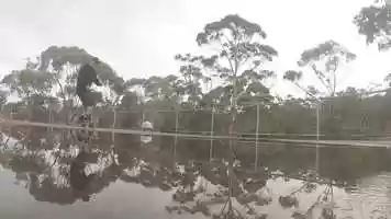 Free download Skateboarding video video and edit with RedcoolMedia movie maker MovieStudio video editor online and AudioStudio audio editor onlin