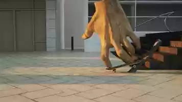 Free download Skate it! Fingerboarding animation video and edit with RedcoolMedia movie maker MovieStudio video editor online and AudioStudio audio editor onlin