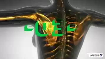 Free download Skeletal video and edit with RedcoolMedia movie maker MovieStudio video editor online and AudioStudio audio editor onlin