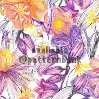 Free download Sketchy Illustration_HD video and edit with RedcoolMedia movie maker MovieStudio video editor online and AudioStudio audio editor onlin