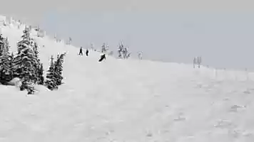 Free download Ski Movement Skills video and edit with RedcoolMedia movie maker MovieStudio video editor online and AudioStudio audio editor onlin