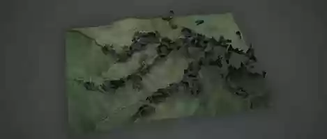 Free download skinTop_Decay_v001 video and edit with RedcoolMedia movie maker MovieStudio video editor online and AudioStudio audio editor onlin