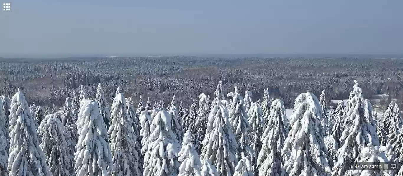 Download web tool or web app Skylight OS