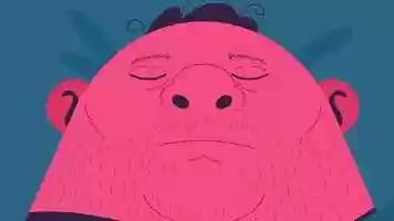 Free download Sleeping video and edit with RedcoolMedia movie maker MovieStudio video editor online and AudioStudio audio editor onlin