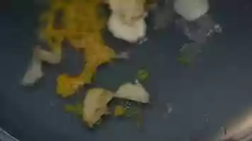 Free download Slime Dance video and edit with RedcoolMedia movie maker MovieStudio video editor online and AudioStudio audio editor onlin