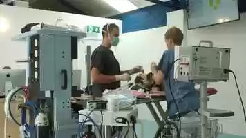 Free download Smart finance helps The London Animal Hospital acquire vital equipment video and edit with RedcoolMedia movie maker MovieStudio video editor online and AudioStudio audio editor onlin