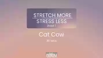 Free download SMSL W1 - 02 Cat Cow video and edit with RedcoolMedia movie maker MovieStudio video editor online and AudioStudio audio editor onlin