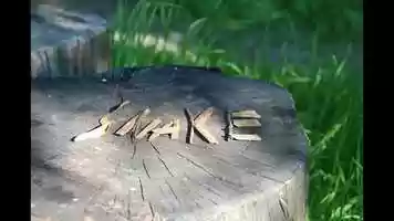 Free download SNAKE video and edit with RedcoolMedia movie maker MovieStudio video editor online and AudioStudio audio editor onlin