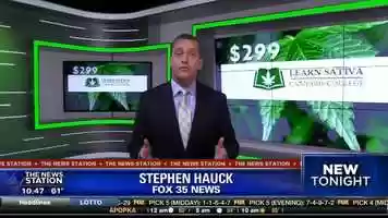 Free download Sneak Peek inside Cannabis College - Learn Sativa University video and edit with RedcoolMedia movie maker MovieStudio video editor online and AudioStudio audio editor onlin