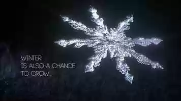 Free download SnowFlake grow motion design video and edit with RedcoolMedia movie maker MovieStudio video editor online and AudioStudio audio editor onlin