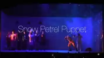 Free download Snow Petrel Puppet - Antarctica  A New Musical 2016 video and edit with RedcoolMedia movie maker MovieStudio video editor online and AudioStudio audio editor onlin