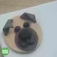 Free download Social Paws - Bake it! video and edit with RedcoolMedia movie maker MovieStudio video editor online and AudioStudio audio editor onlin
