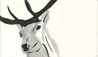 Free download So close and yet so far_Animated film by Marika Mastrandrea.mp4 video and edit with RedcoolMedia movie maker MovieStudio video editor online and AudioStudio audio editor onlin