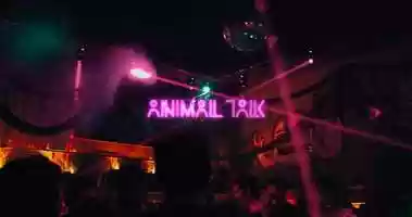 Free download Sofi Tukker presents Animal Talk - Mexico City video and edit with RedcoolMedia movie maker MovieStudio video editor online and AudioStudio audio editor onlin