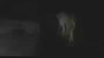 Free download SOL - A Fashion Film on Sustainability video and edit with RedcoolMedia movie maker MovieStudio video editor online and AudioStudio audio editor onlin