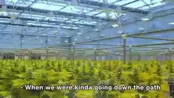 Free download Solaris Farms and Culture  Cannabis launch video video and edit with RedcoolMedia movie maker MovieStudio video editor online and AudioStudio audio editor onlin