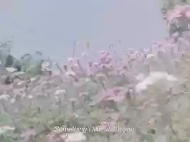 Free download Something I like about you. video and edit with RedcoolMedia movie maker MovieStudio video editor online and AudioStudio audio editor onlin