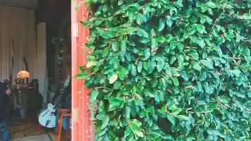 Free download Somewhere BTS Edit - Love Angeles video and edit with RedcoolMedia movie maker MovieStudio video editor online and AudioStudio audio editor onlin