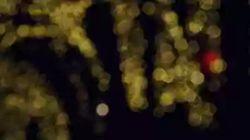 Free download Sonata for City Lights video and edit with RedcoolMedia movie maker MovieStudio video editor online and AudioStudio audio editor onlin