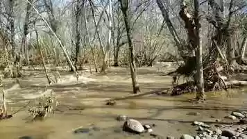 Free download Soothing waters with Music Therapy track Sat Narayan video and edit with RedcoolMedia movie maker MovieStudio video editor online and AudioStudio audio editor onlin