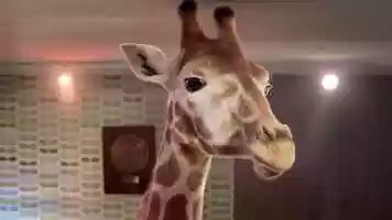 Free download Sounds like Triple M video and edit with RedcoolMedia movie maker MovieStudio video editor online and AudioStudio audio editor onlin